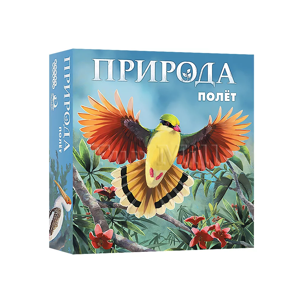 Настольная игра Природа. Полёт (Nature: Flight)